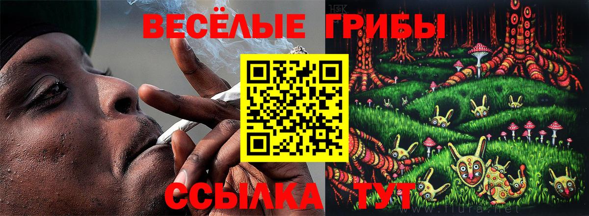 Клин  Галлюциногенные грибы ЛСД  наркотики  Вход с VPN 